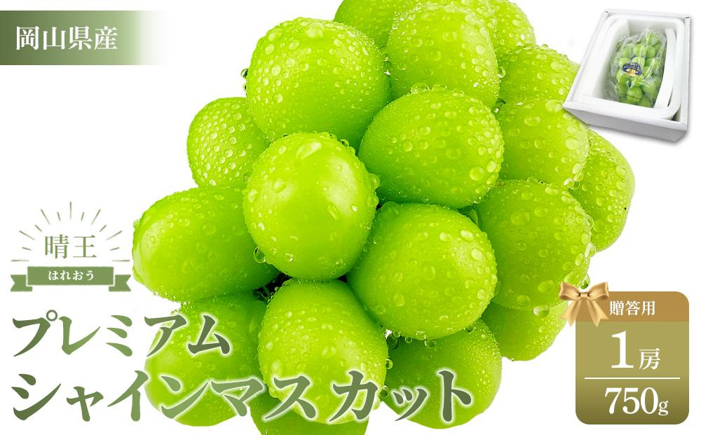 ぶどう 2025年 プレミアム シャイン マスカット 晴王 １房 約750g 【赤秀品  岡山県産 船穂産 種無し 皮ごと食べる 9月以降にお届け フレッシュ 贈答用 ハレノフルーツ】