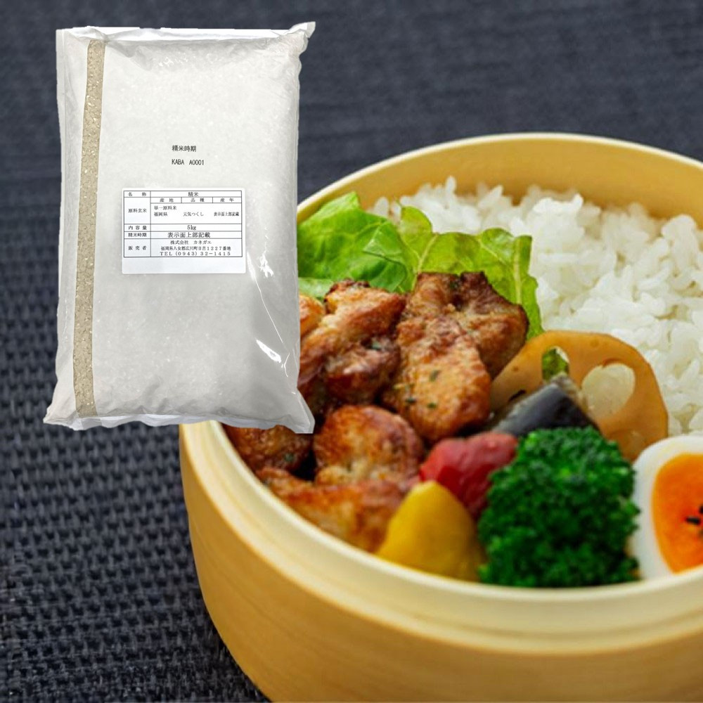 【新米&nbsp;令和7年産】福岡県産&nbsp;米&nbsp;元気つくし&nbsp;15kg&nbsp;セット&nbsp;(&nbsp;5kg×3袋&nbsp;)