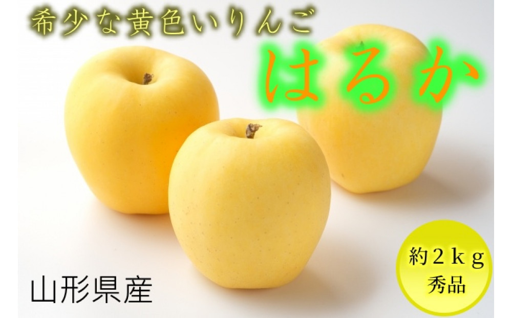 【先行受付】【2025年12月初旬頃より発送】♪りんご(はるか）♪　秀品　約2kg