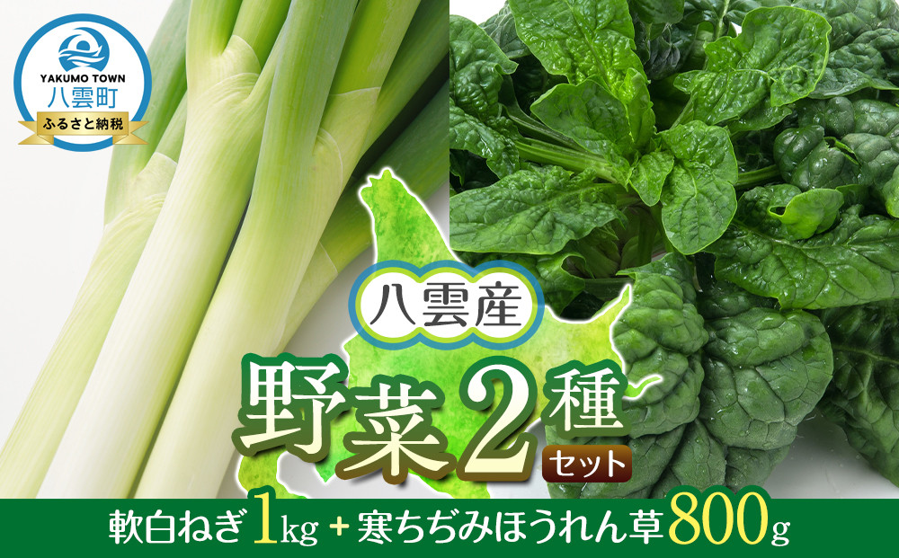 【先行予約】八雲産軟白ねぎ1kg+寒ちぢみほうれん草800gセット(2025年12月中旬以降発送開始予定)&nbsp;【&nbsp;野菜&nbsp;ネギ&nbsp;ホウレン草&nbsp;やさい&nbsp;ホウレンソウ&nbsp;葉物野菜&nbsp;北海道&nbsp;八雲町&nbsp;】