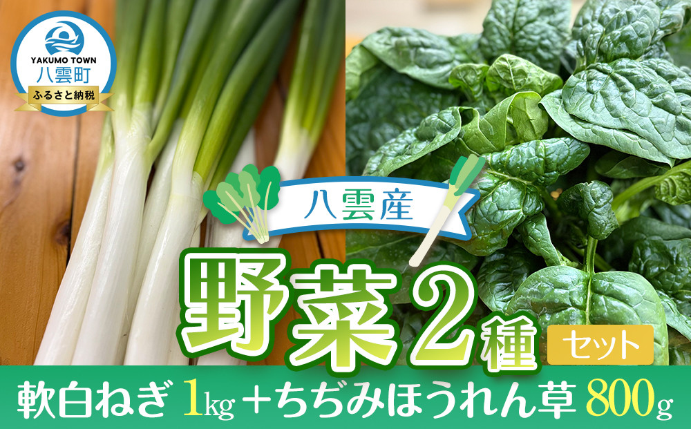 八雲産軟白ねぎ1kg+寒ちぢみほうれん草800gセット&nbsp;【&nbsp;野菜&nbsp;ネギ&nbsp;ホウレン草&nbsp;やさい&nbsp;ホウレンソウ&nbsp;葉物野菜&nbsp;北海道&nbsp;八雲町&nbsp;】