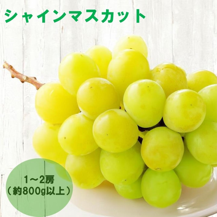 【感謝企画】【8月下旬～10月初旬発送】シャインマスカット　1～2房（約800g以上）