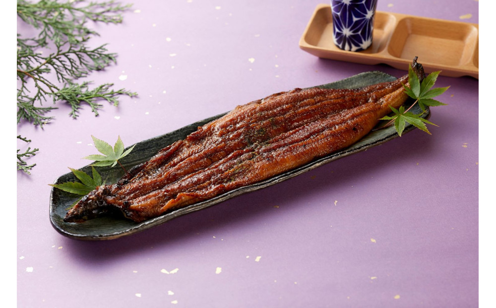 〈堀忠〉鰻蒲焼き　大2尾〈高島屋選定品〉