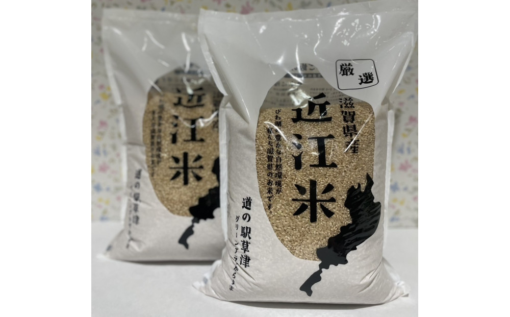 令和7年産　近江米コシヒカリ（玄米）5kg×2　計10kg