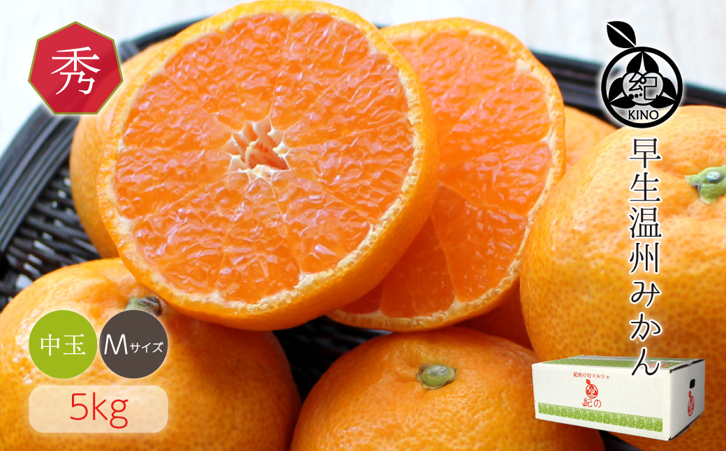 和歌山県産 早生温州みかん 秀品 Mサイズ 5kg [Sn5]