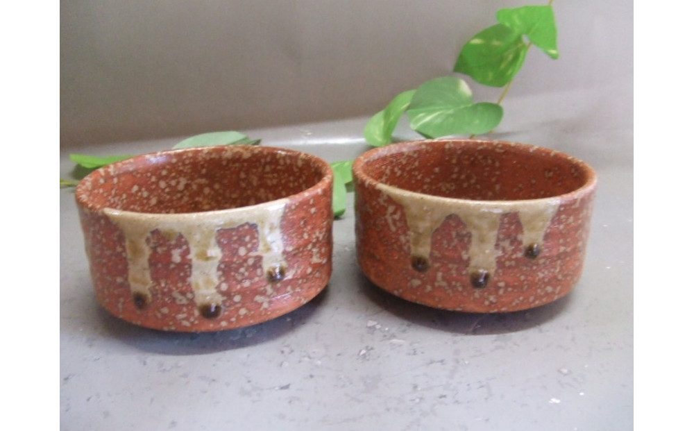 【信楽焼】緋色小鉢2個セット うつわ　　　nwu-029