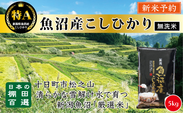 【無洗米】【令和７年産新米予約】【食味鑑定士厳選】　日本の棚田百選　新潟県十日町（魚沼）産　コシヒカリ５kg(5kg×1)