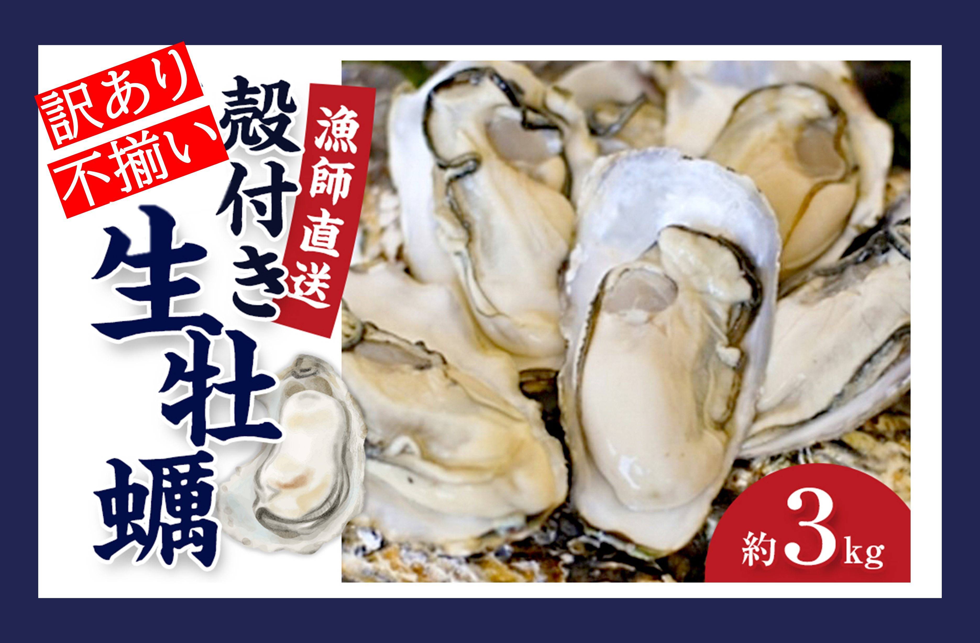 ★先行予約★《訳あり・不揃い》殻付き生牡蠣　3kg 【漁師直送!】冷蔵配送