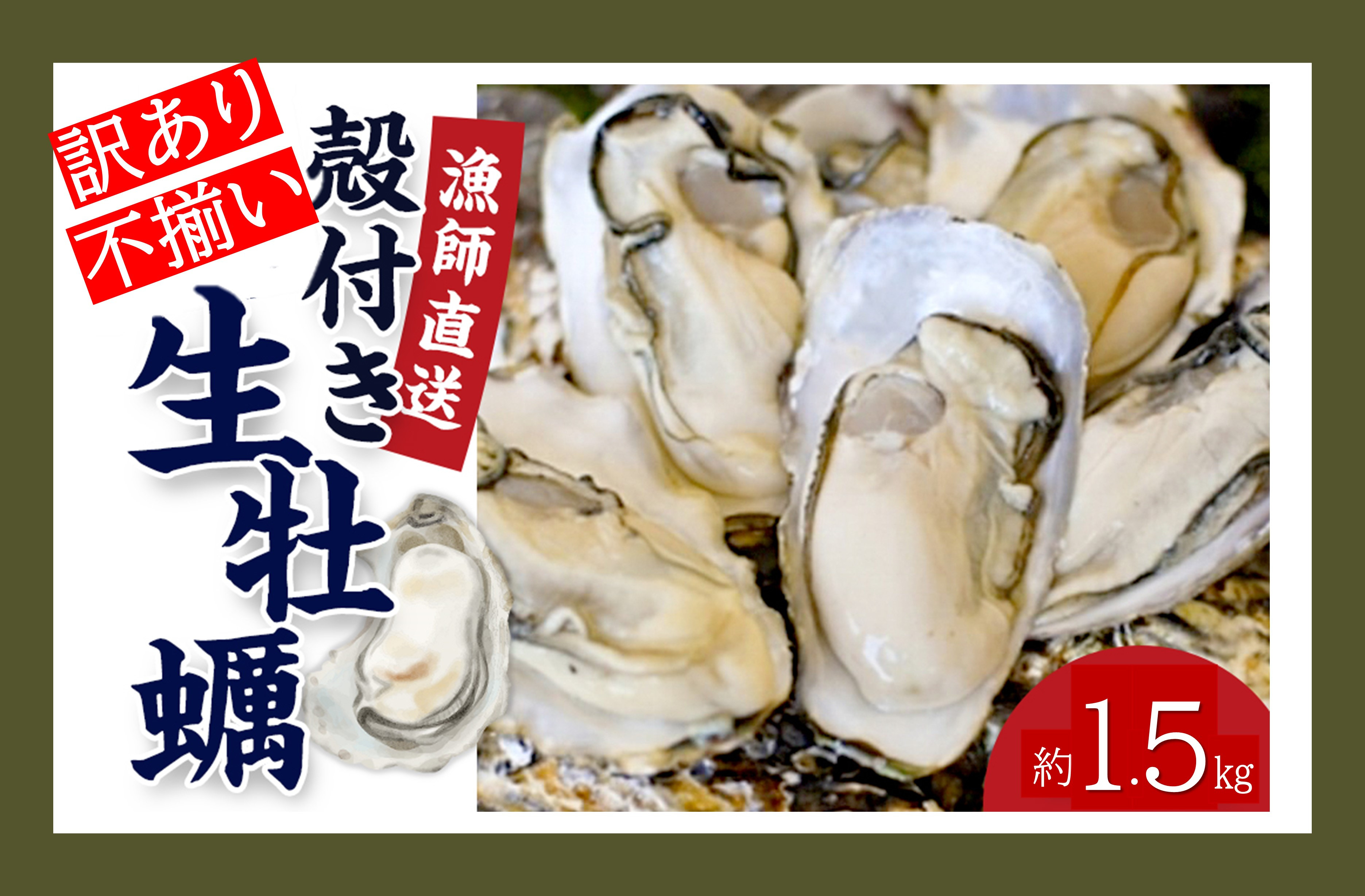 ★先行予約★《訳あり・不揃い》殻付き生牡蠣　1.5kg 【漁師直送!】冷蔵配送