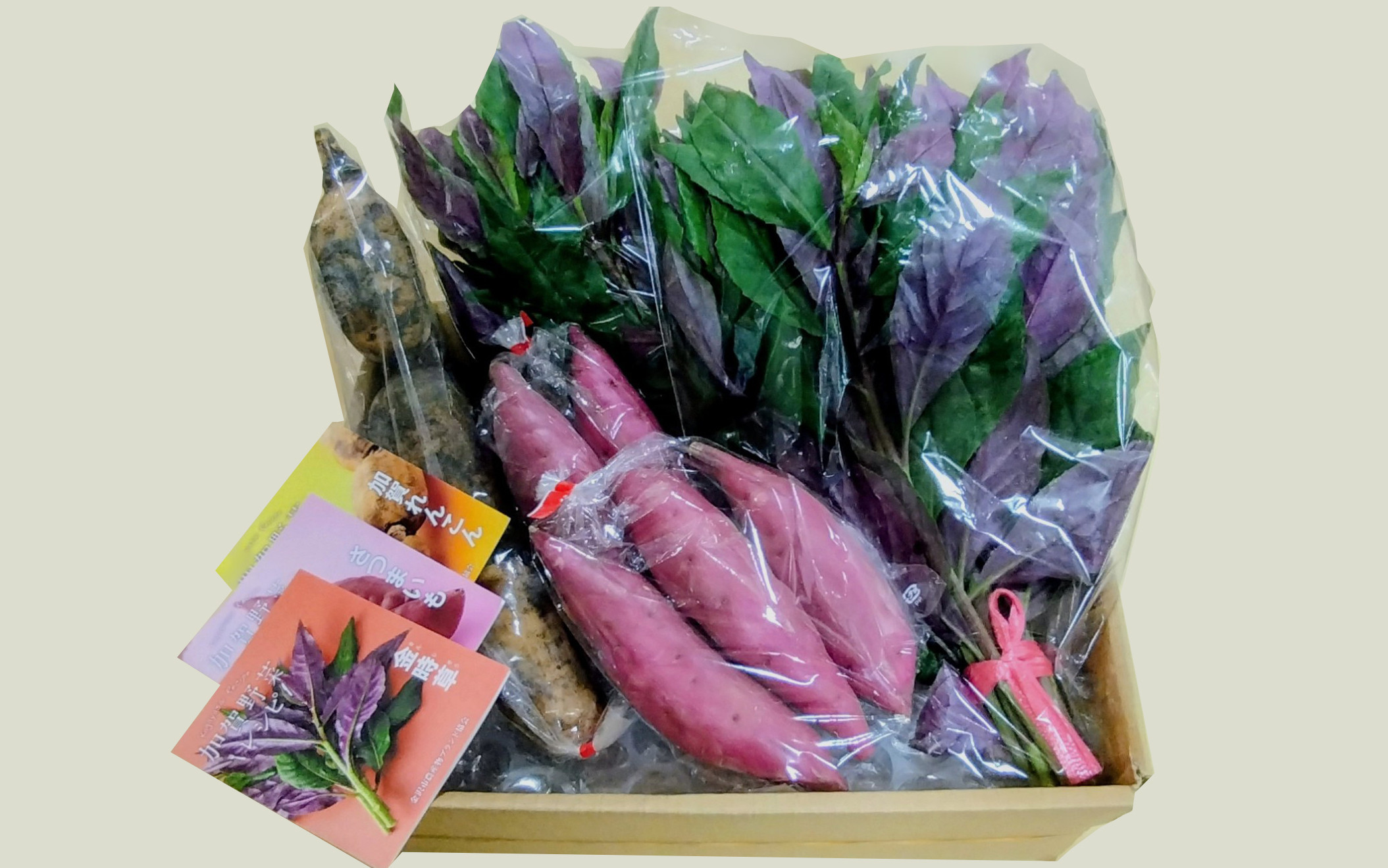 石川県産の人気野菜　贅沢詰め合わせ（夏秋）