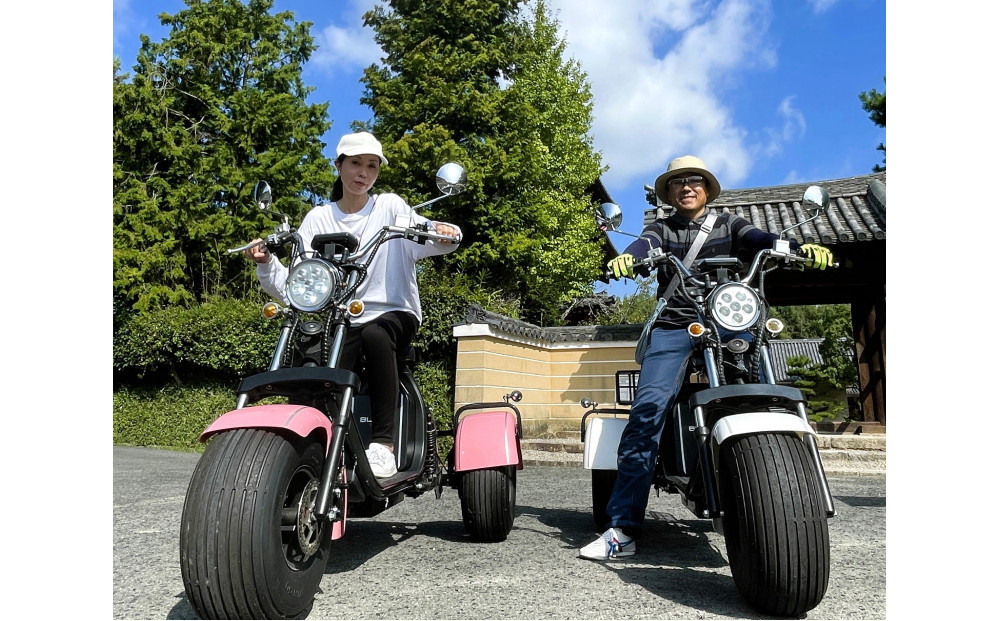 EV3輪バイク「トライク」三塔めぐりツアー 体験チケット