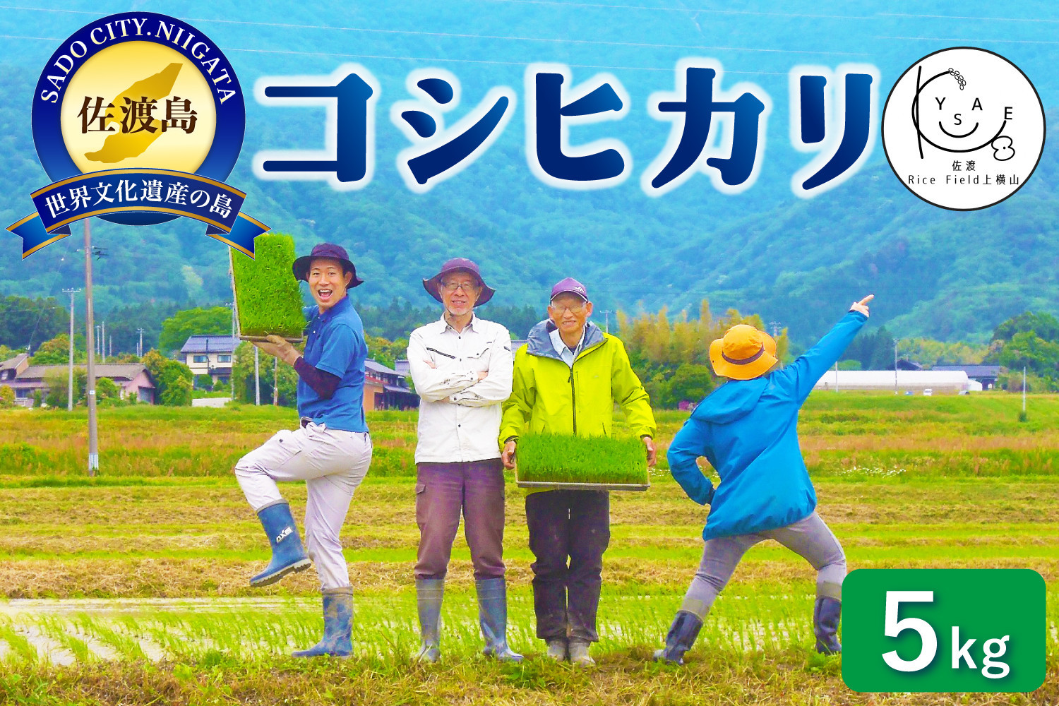 佐渡Rice&nbsp;Field上横山の光【コシヒカリ】令和7年度産　5kg