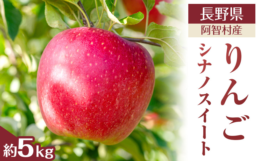 【令和7年10月中旬～順次発送】南信州阿智村　りんご（シナノスイート）約5kg｜  果物 フルーツ 林檎 リンゴ 信州 長野