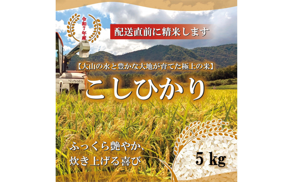 令和7年産 山崎農園こしひかり精米 5kg【新米 米 お米 こめ 白米 コシヒカリ ご飯 ごはん 白ごはん 白ご飯 鳥取県 北栄町 おすすめ 人気 2025年産 令和7年 厳選 国産 送料無料】