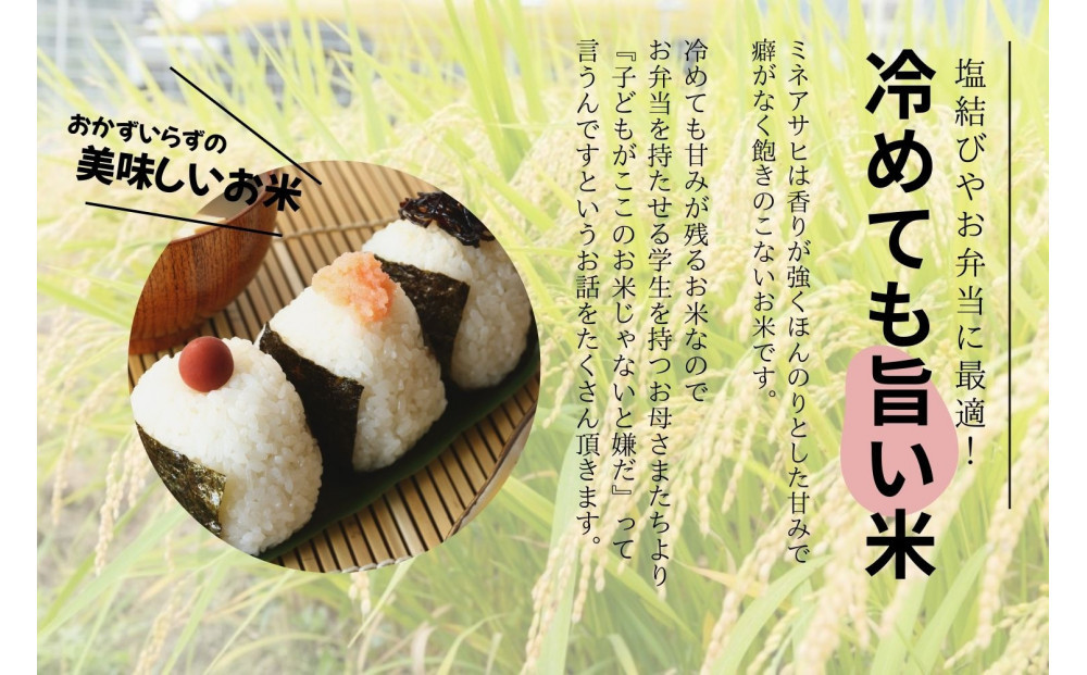 先行受付＞【令和7年度産】産地限定山間地ギフト 希少米峰旭