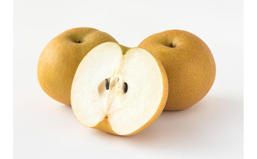 梨&nbsp;2026年&nbsp;岡山県産&nbsp;あたご梨&nbsp;約900g&nbsp;(&nbsp;1玉&nbsp;)&nbsp;お届け&nbsp;11月下旬～12月中旬