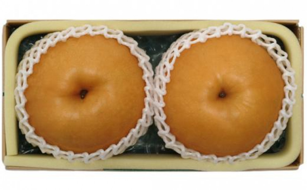 梨&nbsp;2026年&nbsp;岡山県産&nbsp;あたご梨&nbsp;約1.5kg&nbsp;(&nbsp;2玉&nbsp;)&nbsp;お届け11月下旬～12月中旬