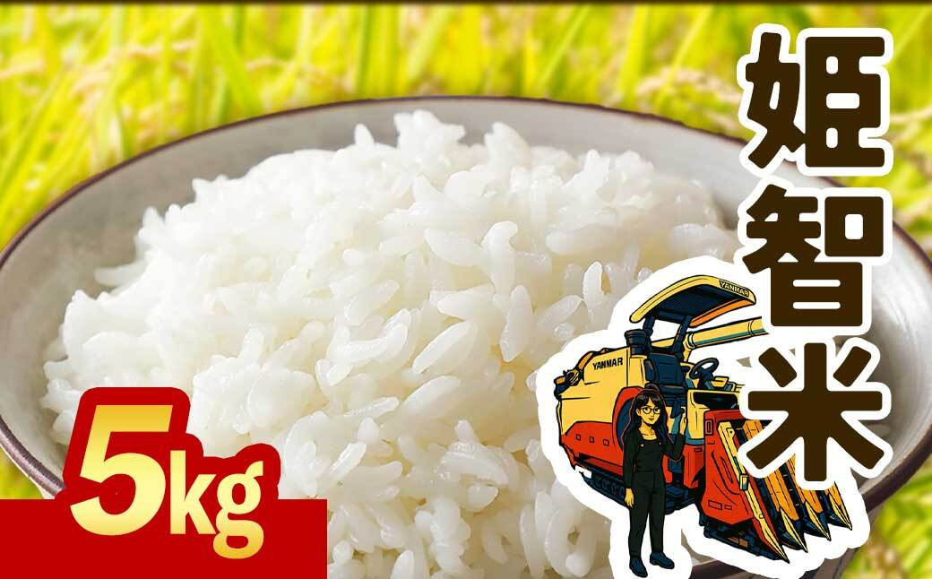 令和７年産&nbsp;新米&nbsp;なつほのか&nbsp;5kg&nbsp;&nbsp;智子さんの姫智米&nbsp;精米