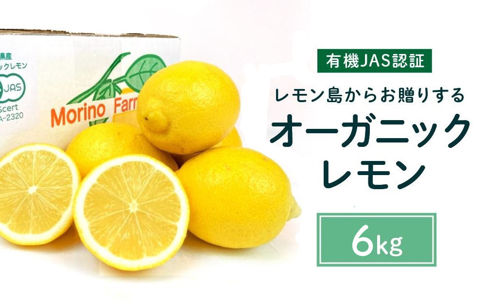 【有機JAS認証】レモン島からお贈りするオーガニックレモン 6kg 有機レモン 2026年2月以降発送予定 産直 国産 有機栽培