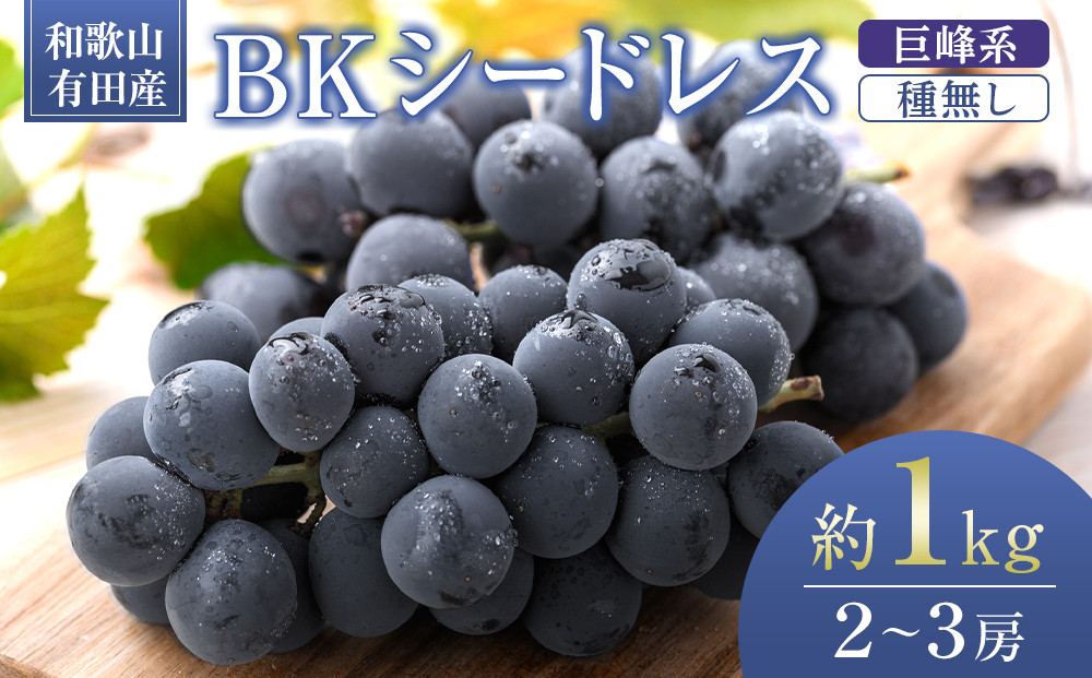 ［先行予約］和歌山&nbsp;有田産&nbsp;種なし&nbsp;BKシードレス&nbsp;約1kg&nbsp;2～3房&nbsp;［2026年8月下旬より順次発送予定］