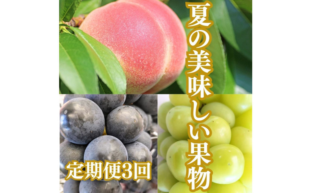 【2026年度先行予約】【定期便3回】夏の美味しい果物