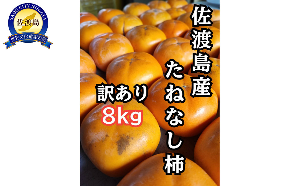訳あり　佐渡島産たねなし柿8kg