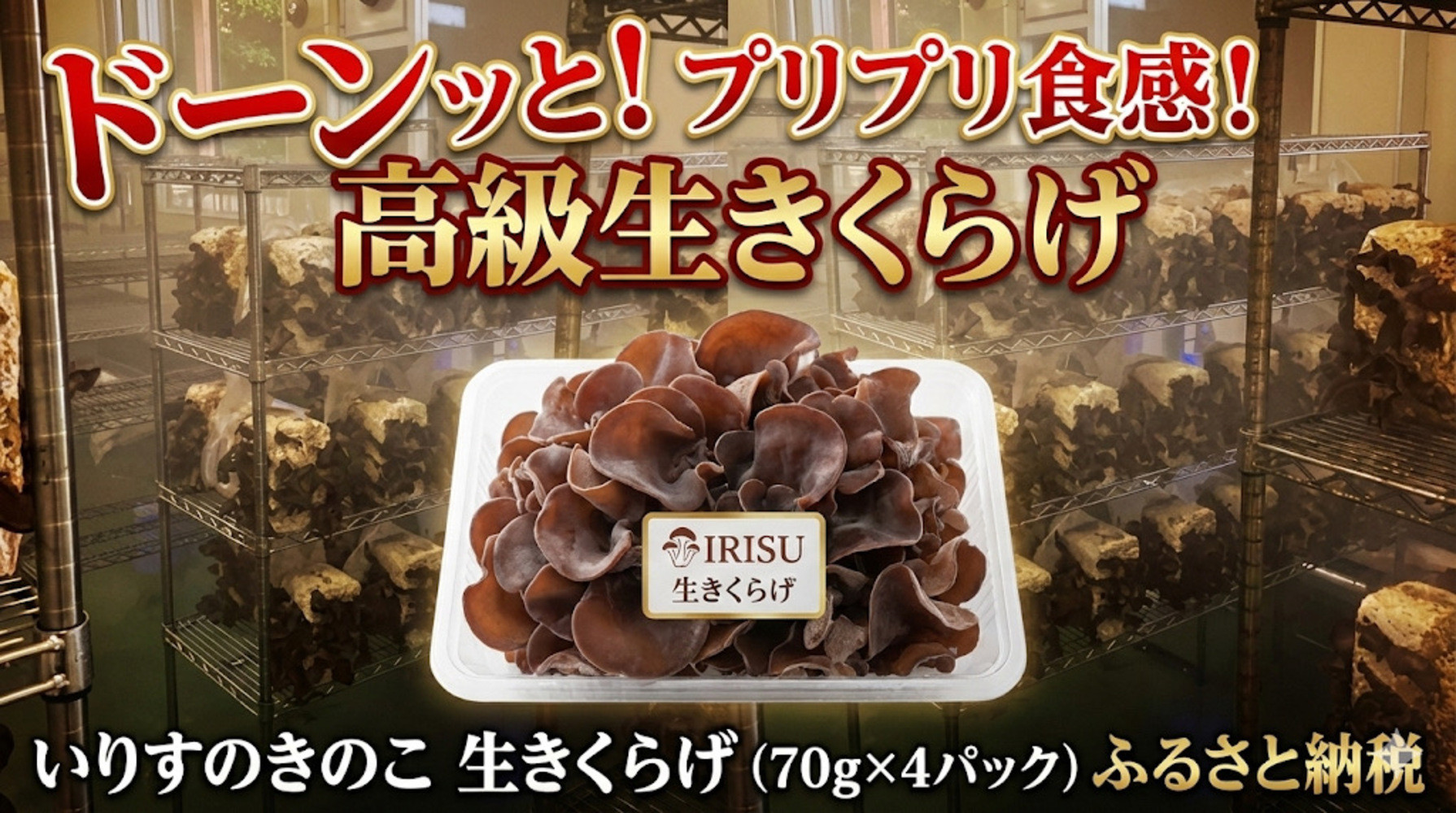 いりすのきのこ&nbsp;生きくらげ（70g×4パック）｜着物レンタル&nbsp;着付け&nbsp;選べるプラン&nbsp;チケット&nbsp;体験&nbsp;観光&nbsp;ICスタイル&nbsp;ふるさと納税&nbsp;出雲市