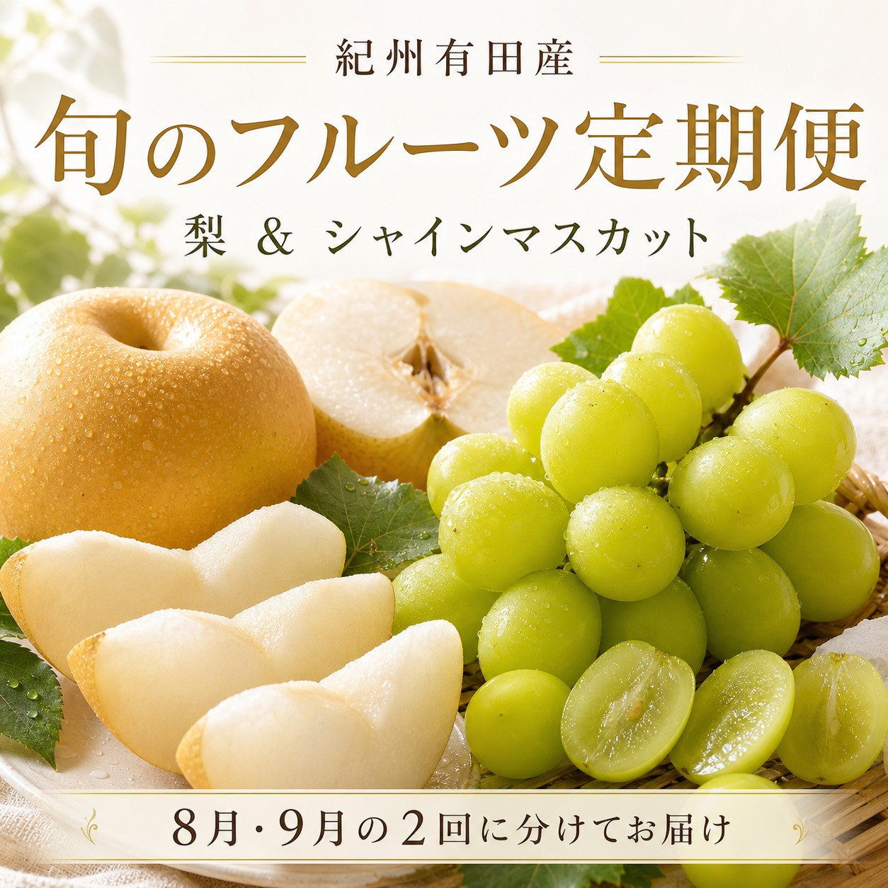 定期便&nbsp;8・9月発送&nbsp;紀州有田産旬のフルーツセット（梨×3玉&nbsp;化粧箱入・シャインマスカット×2房（約1kg〜1.4kg））