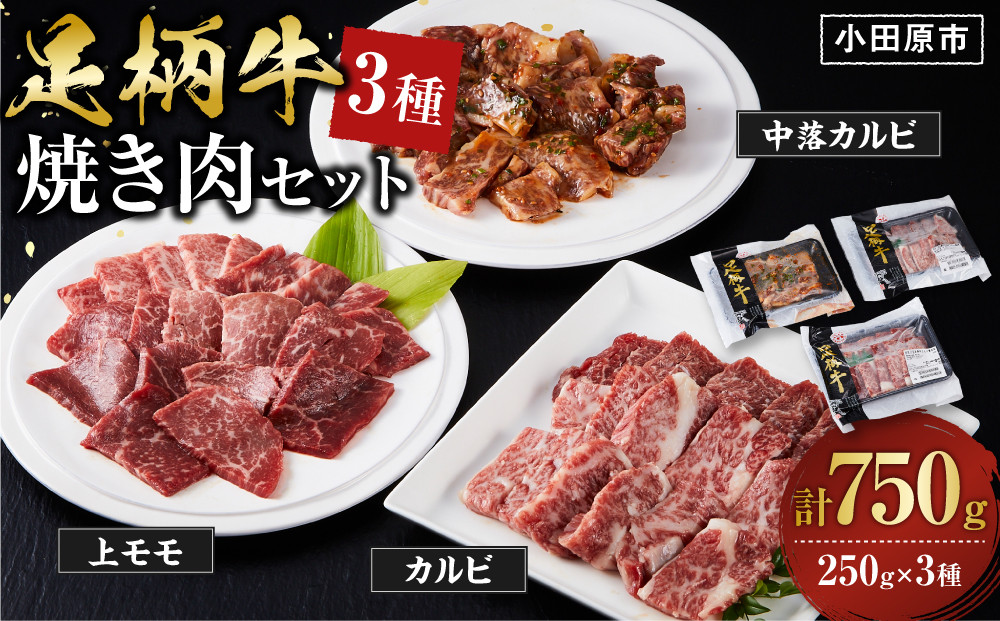 足柄牛3種焼肉セット（カルビ　上モモ　中落カルビ各250ｇ）【 肉 国産  神奈川県 小田原市 】