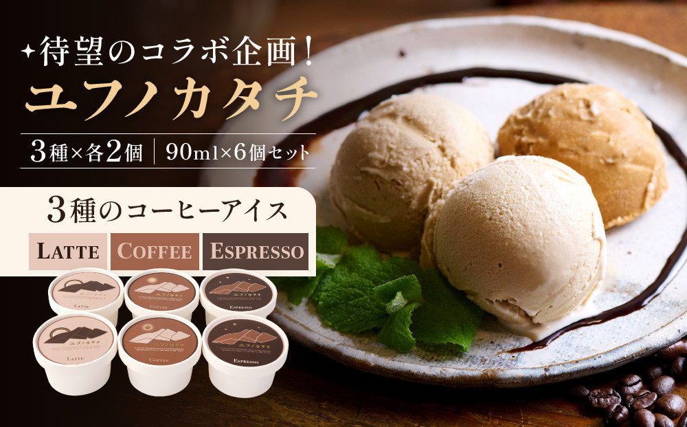 【待望のコラボ企画！】ユフノカタチ&nbsp;~3種のコーヒーアイス~（3種×2個　計6個）