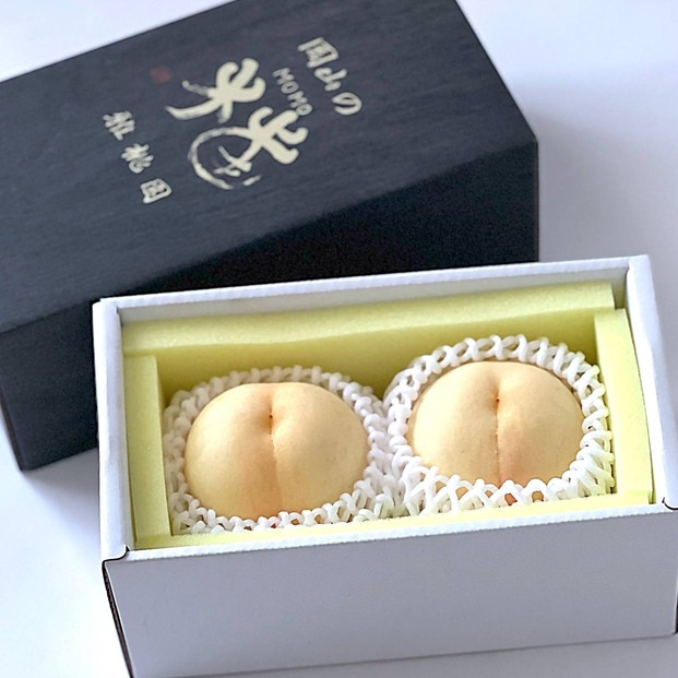 桃 2026年   岡山 白桃 2玉  もも 岡山県産 国産 フルーツ 果物 ギフト 雅桃園