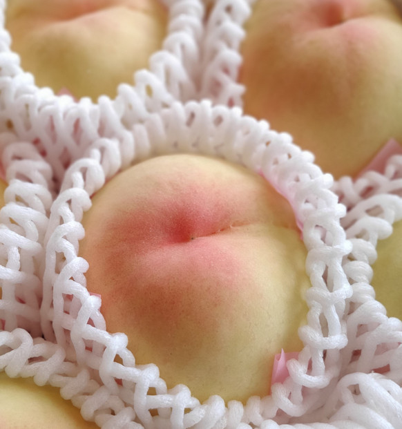 岡山市産 清水白桃 ご家庭用 大玉3玉 ＜2026年7月上旬～8月下旬頃出荷＞