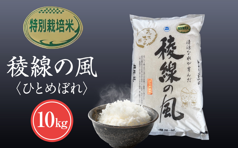【信濃大町産】特別栽培米　稜線の風（ひとめぼれ） 10kg｜米  国産米 長野県産 人気 おすすめ お米 減農薬 新米 ごはん 和食 健康 送料無料 長野県 大町市 ふるさと納税