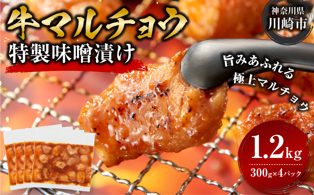 ＜訳アリ＞牛マルチョウ　特製味噌漬け　1.2kg(300g×4）【2026年11月発送】