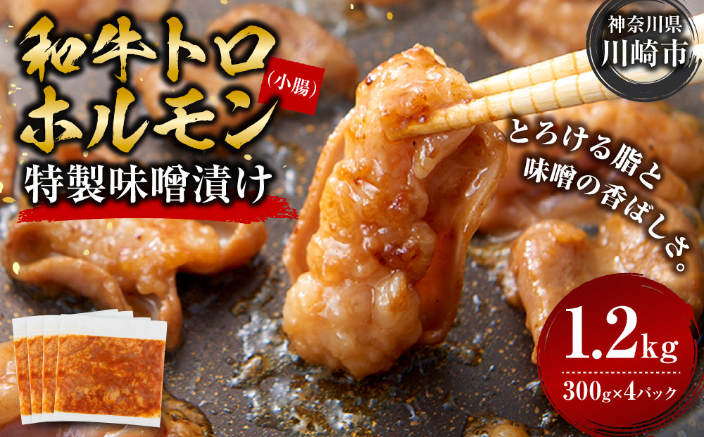 ＜訳アリ＞和牛トロホルモン　特製味噌漬け　1.2kg(300g×4）【2026年5月発送】