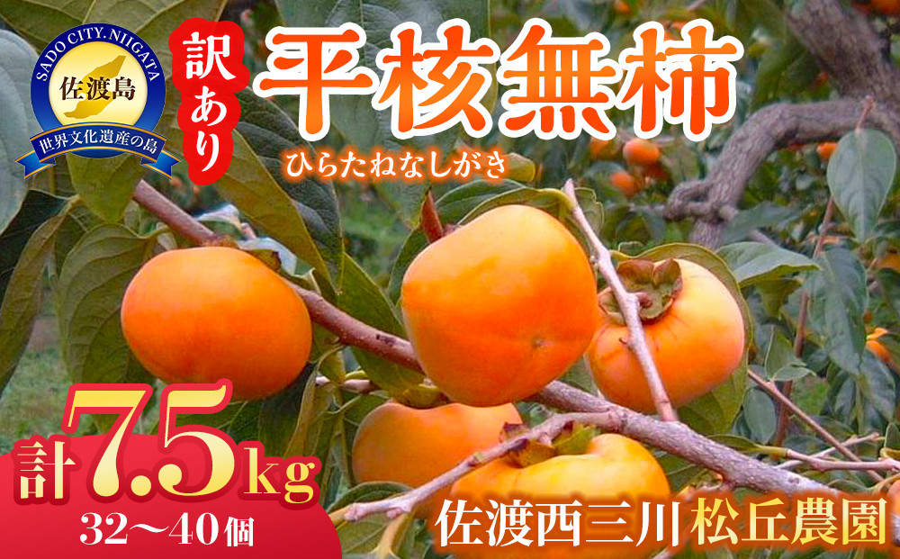【先行予約】【訳あり】佐渡・松丘農園の「平核無柿（ひらたねなしがき）」7.5kg（32～40玉）