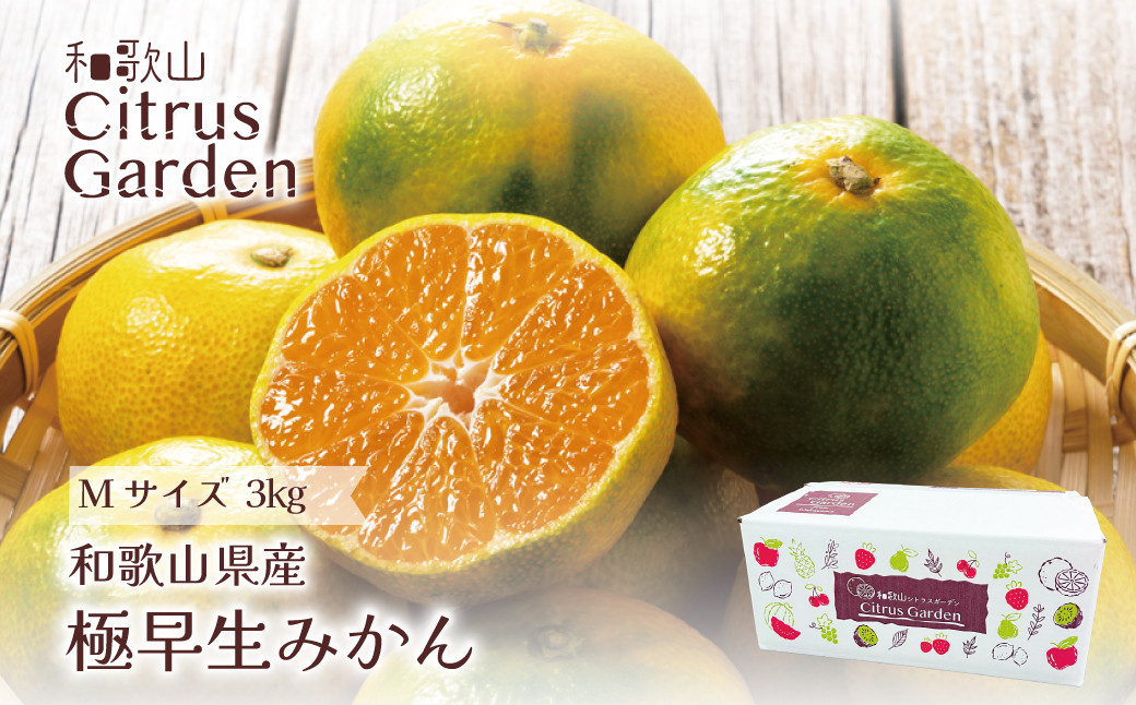 和歌山県産&nbsp;極早生みかん&nbsp;家庭用&nbsp;Mサイズ&nbsp;3kg&nbsp;［Sn13］