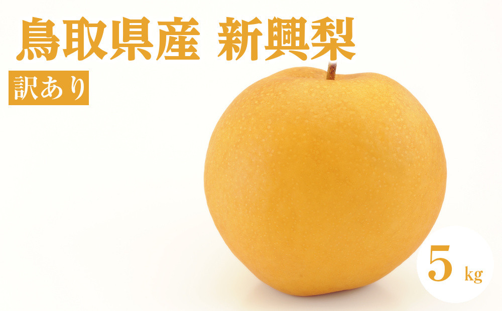 訳あり&nbsp;鳥取県産&nbsp;新興&nbsp;梨&nbsp;5kg｜鳥取梨&nbsp;梨&nbsp;なし&nbsp;新興&nbsp;しんこう&nbsp;鳥取&nbsp;期間限定&nbsp;送料無料&nbsp;鳥取県&nbsp;三朝町　旬　和梨　ナシ　果物フルーツ　くだもの　わけあり　国産　期間限定　季節限定&nbsp;産地直送　新鮮　新興梨　鳥取県産梨　フレッシュ　訳あり　家庭用