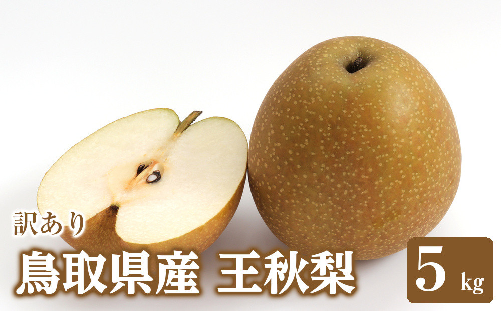 訳あり&nbsp;鳥取県産&nbsp;王秋&nbsp;梨&nbsp;5kg｜鳥取梨&nbsp;なし&nbsp;王秋&nbsp;王秋梨&nbsp;期間限定&nbsp;送料無料&nbsp;鳥取県&nbsp;三朝町&nbsp;フルーツ&nbsp;果物　くだもの　わけあり&nbsp;なし&nbsp;ナシ&nbsp;和梨　先行予約季節限定　国産&nbsp;直送&nbsp;旬&nbsp;秋&nbsp;国産&nbsp;ヘルシー&nbsp;ビタミン豊富　鳥取県産梨　訳あり&nbsp;