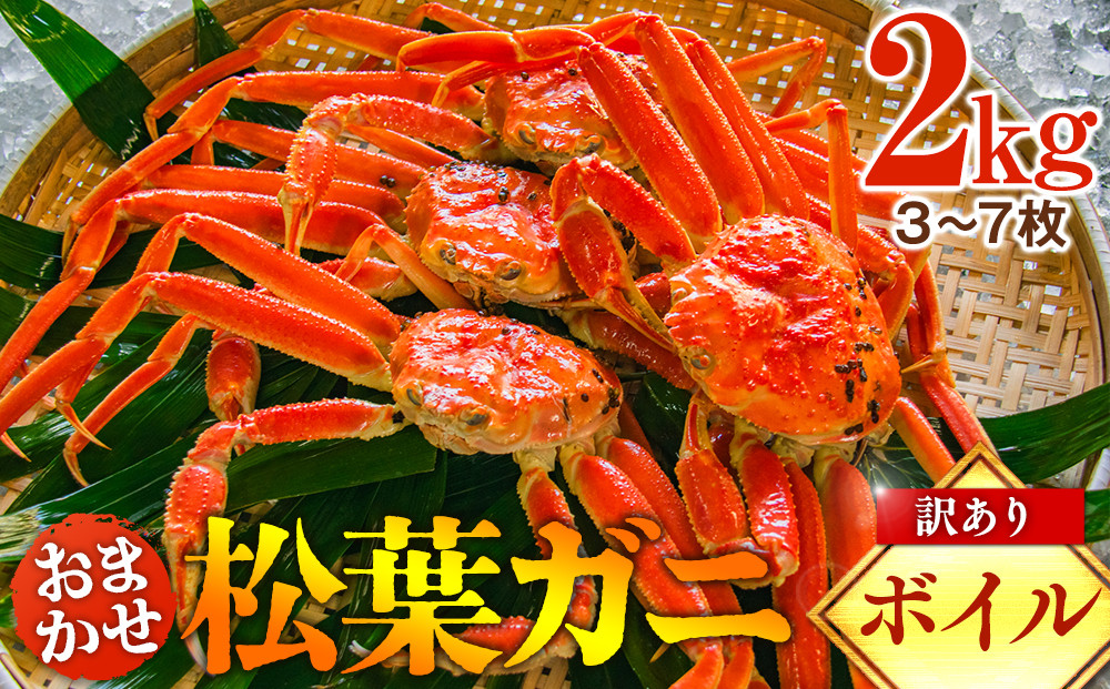 【ボイル】訳あり&nbsp;松葉ガニおまかせ2kg（3～7枚）※2026年11月上旬～2027年3月下旬頃に順次発送予定&nbsp;※着日指定不可【蟹&nbsp;かに&nbsp;松葉かに&nbsp;2キロ&nbsp;2kg&nbsp;家庭用&nbsp;訳アリ&nbsp;おすすめ&nbsp;人気&nbsp;鳥取県産&nbsp;鳥取県&nbsp;北栄町&nbsp;2026年&nbsp;2027年&nbsp;蟹刺し&nbsp;蟹みそ&nbsp;かにみそ&nbsp;かに料理&nbsp;蟹ご飯】