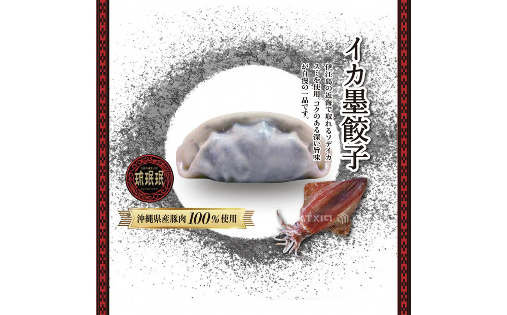 【琉みんみん】沖縄県産イカスミ餃子　4パック&nbsp;　48個入り