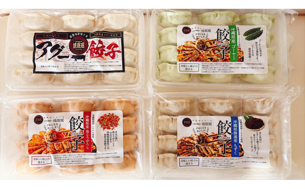 【琉みんみん】沖縄餃子&nbsp;詰め合わせパック　4パック&nbsp;　48個入り