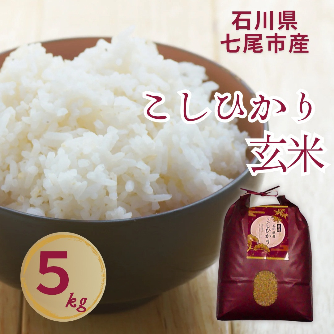【令和7年産】石川県七尾市産 コシヒカリ 玄米 5Kg