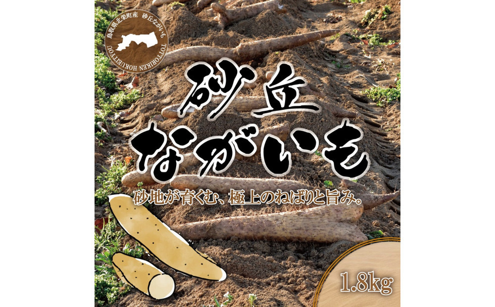 1113.砂丘ながいも1.8kg