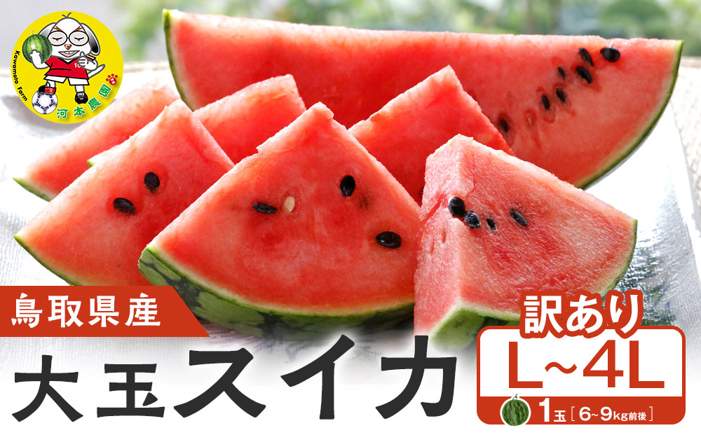 【先行予約】鳥取県産&nbsp;大玉スイカ&nbsp;訳あり&nbsp;1玉&nbsp;6-9キロ前後L-4L（こちらの返礼品は、大栄西瓜ではありません）