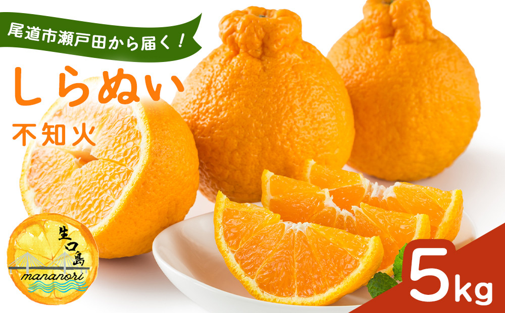 尾道市瀬戸田から届く！&nbsp;しらぬい（不知火）5キロ