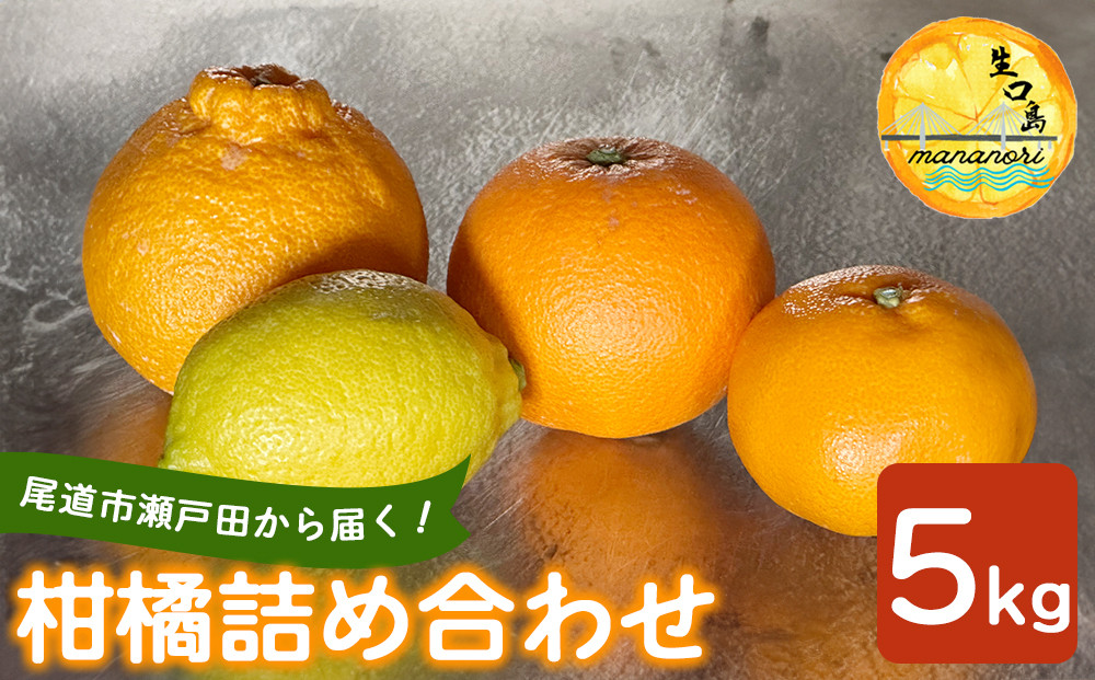 尾道市瀬戸田から届く！&nbsp;柑橘詰合せ&nbsp;5キロ