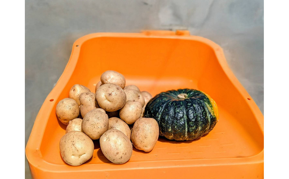 Suage直営農園　新じゃが3kg＆かぼちゃ1玉