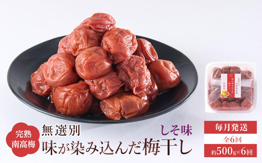 無選別&nbsp;和歌山の完熟南高梅&nbsp;味が染み込んだ梅干し&nbsp;しそ味&nbsp;500g&nbsp;塩分10％&nbsp;[定期便&nbsp;毎月発送・全6回]