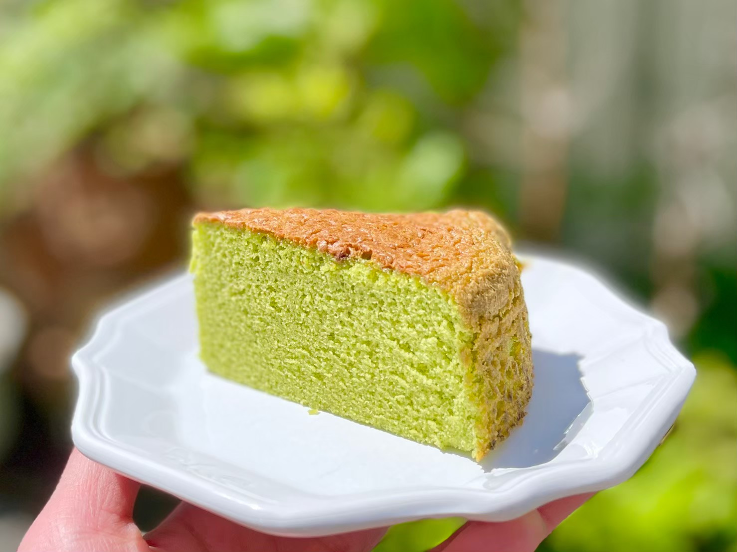 【先行予約】広島浪漫「濃厚バターケーキ」お抹茶のルートヴィヒII世（2026年5月上旬以降発送）